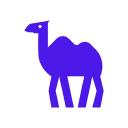 CAMEL 开源项目